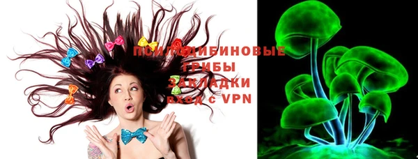 стаф Долгопрудный