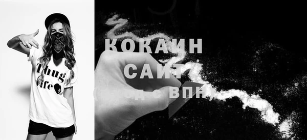 стаф Долгопрудный