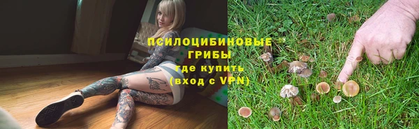 стаф Долгопрудный