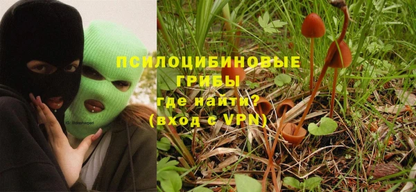 стаф Долгопрудный