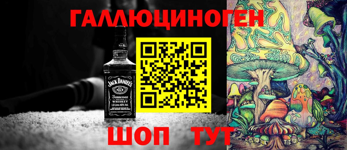 Псилоцибиновые грибы Psilocybine cubensis Балахна