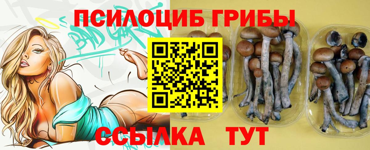 Балахна  Псилоцибиновые грибы мухоморы  купить наркоту  Вход с VPN 