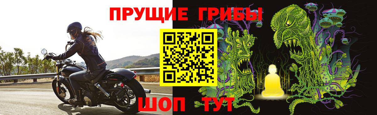 магазин    Балахна  Галлюциногенные грибы ЛСД  Псилоцибиновые грибы GOLDEN TEACHER 